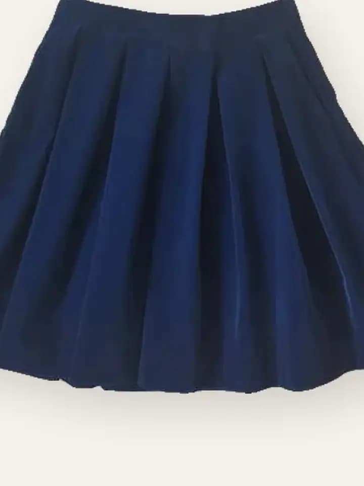 Navy Pleated Skater Skirt, photo 2