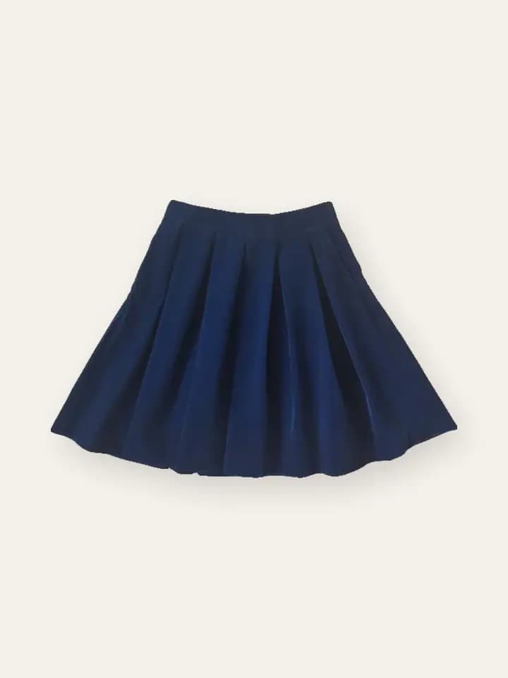 Navy Pleated Skater Skirt