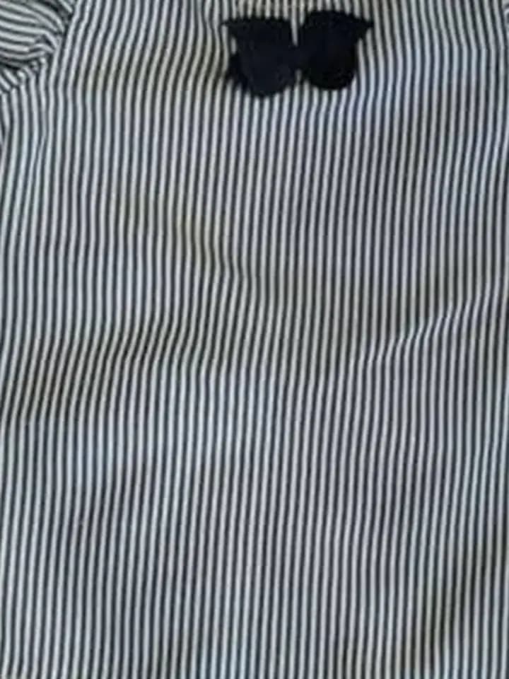 Ticking Stripe Frill Top, photo 2